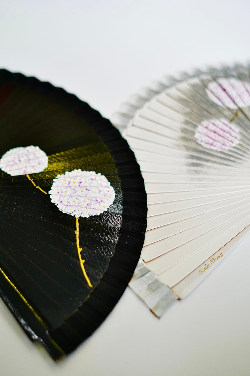 Abanico biznaga blanco